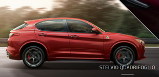 STELVIO QUADRIFOGLIO    S U V.png