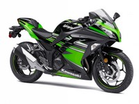 NINJA 300 ABS KRT.jpg