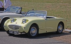 Austin_Healey_